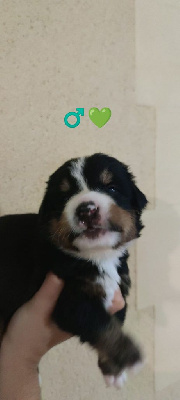 TAYGO